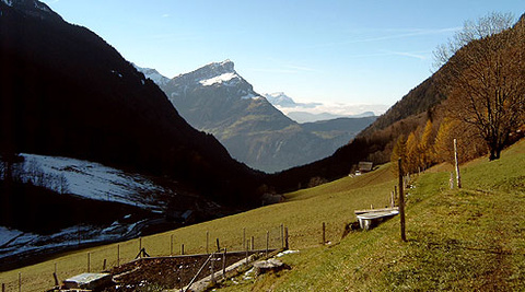 bild03