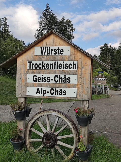 00000008-PHOTO-2024-08-06-17-19-44 00000008-PHOTO-2024-08-06-17-19-44